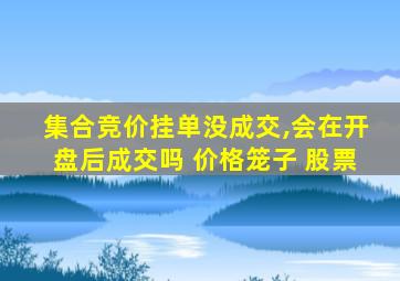 集合竞价挂单没成交,会在开盘后成交吗 价格笼子 股票